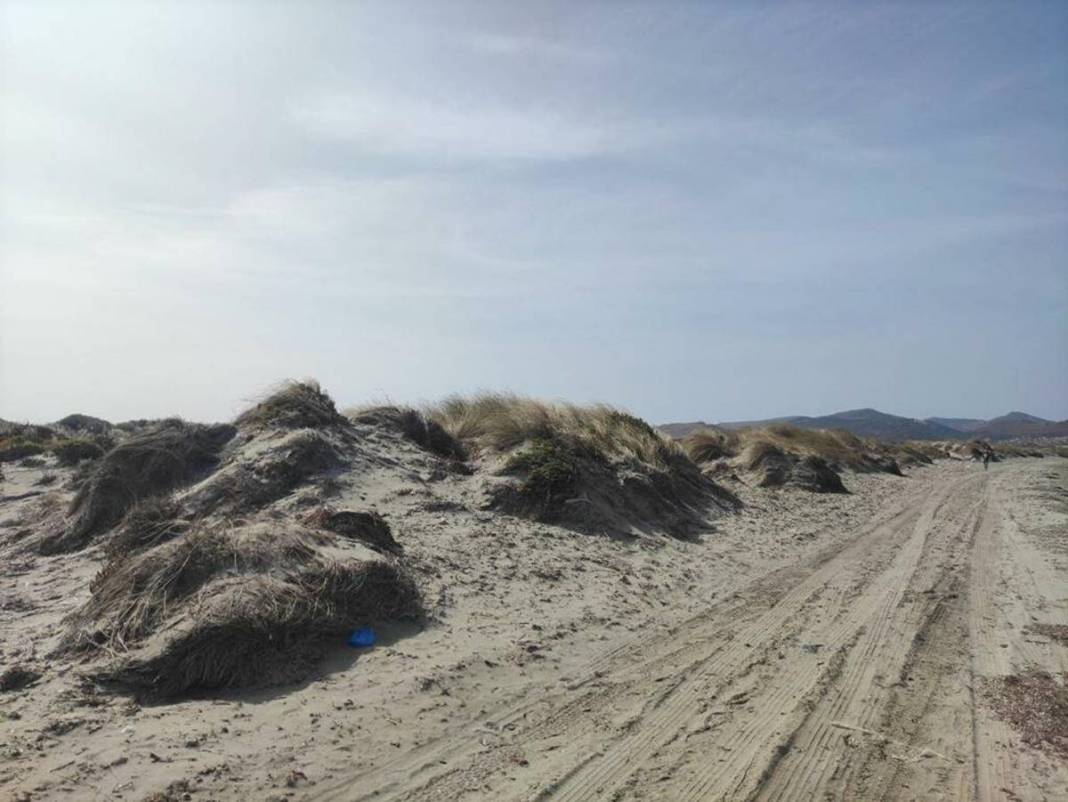 İhbar üzerine deniz kıyısına gittiler: Karşılaştıkları manzara şoke etti! Uzmanlar, o ilçede 9 gün boyunca araştırma yaptı 20